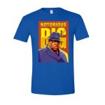 Softstyle® T-Shirt Thumbnail